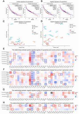 The signature genes of cuproptosis associates with tumor immune microenvironment and predicts prognosis in kidney renal clear cell carcinoma